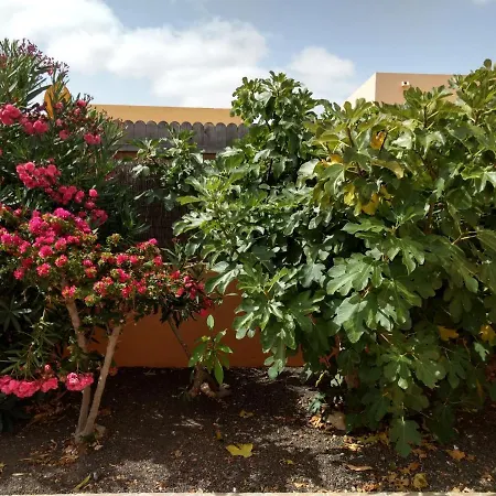La Casita Σπίτι διακοπών